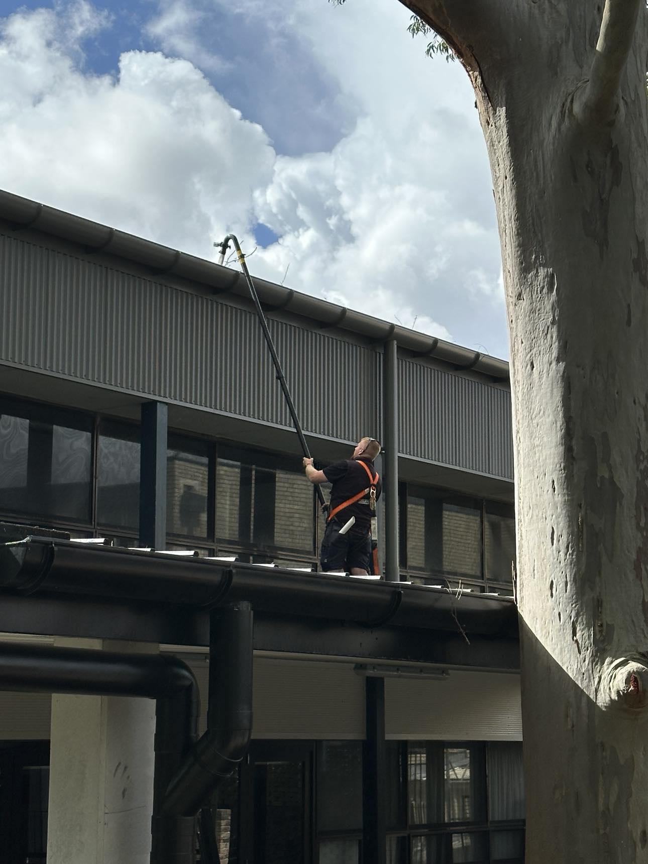 Professional Gutter Cleaning Services 4 486255359 1055380256491117 3431751573634310113 n