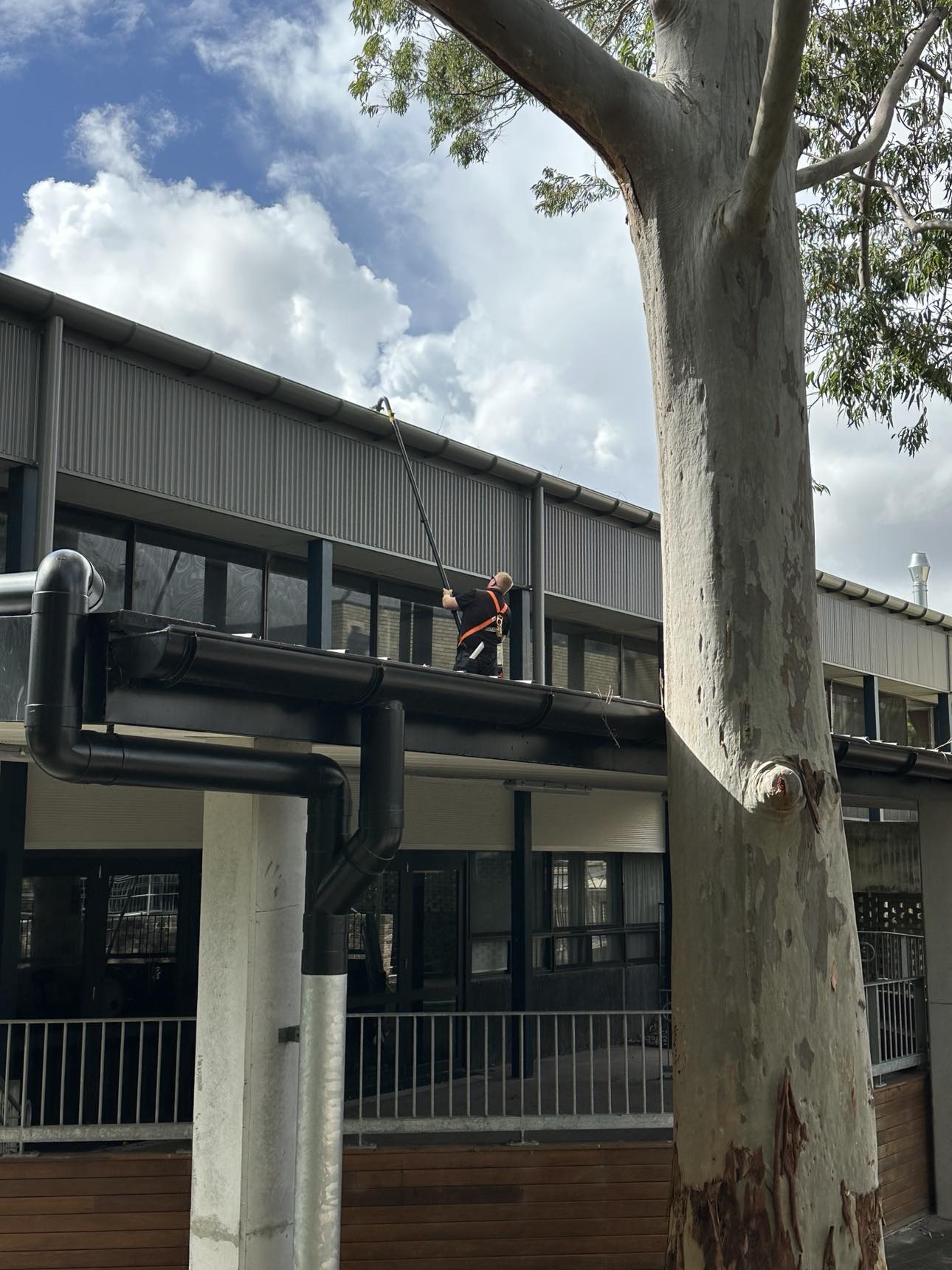 Professional Gutter Cleaning Services 2 491023706 654891230837062 1381597334719416735 n