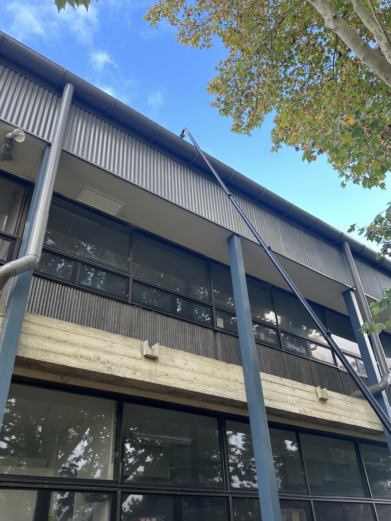 Professional Gutter Cleaning Services 1 491027083 1231048181865523 1273140375995925037 n